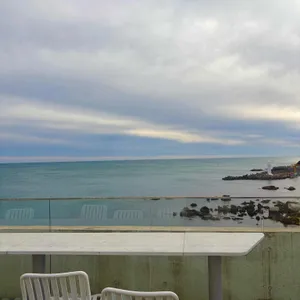 그릿비 대표 사진