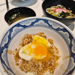 코카모메 사진