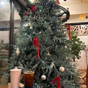 바리오 대표 사진