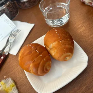 허밍버드 사진 1