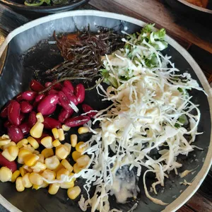 낙지연가 사진 2