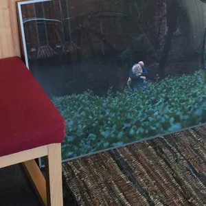 컴팩트 프리덤 대표 사진