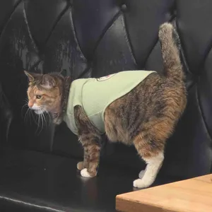 밀거래 대표 사진