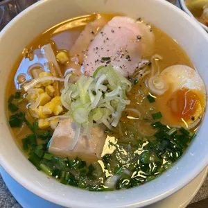 거북이의꿈 사진 1