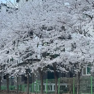 전민규의 황제누룽지탕 대표 사진