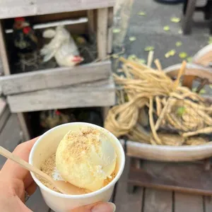 돌닭 사진