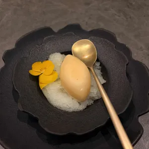 고우가 대표 사진