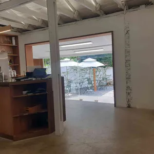 오래 대표 사진