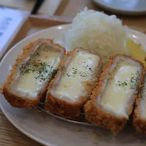 카츠 올로지 사진