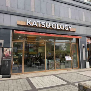 카츠 올로지 대표 사진