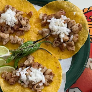 라스또르따스 사진 1