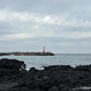 몽탄 대표 사진