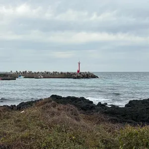 몽탄 대표 사진