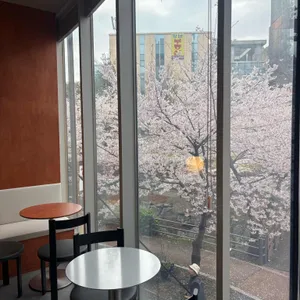폴코 대표 사진