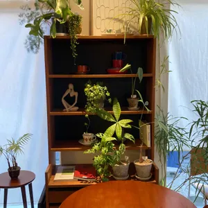 소슬 대표 사진