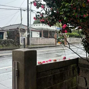 술의식물원 대표 사진