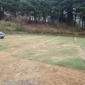 가비가배 리뷰 사진