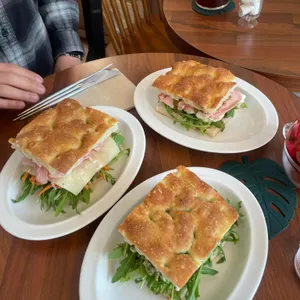 젤라떼리아 여름 사진 1