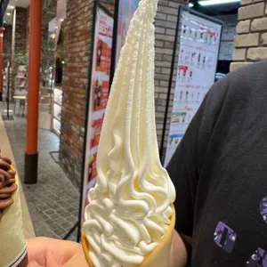 제이미바스켓 사진 2