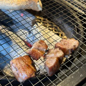 램샾 대표 사진