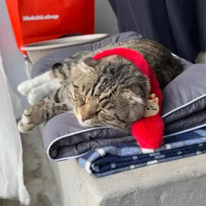 포엣룸 대표 사진