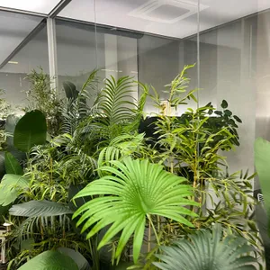 소아브 대표 사진