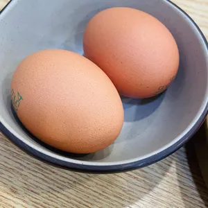 오천집 대표 사진