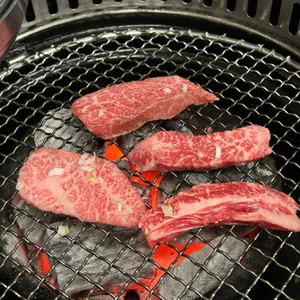 소나무 대표 사진