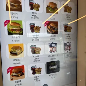 와일드캣 리뷰 사진