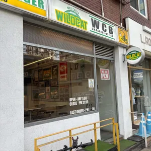 와일드캣 대표 사진