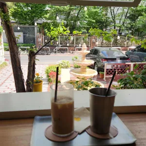 누스 대표 사진