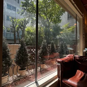 누스 대표 사진