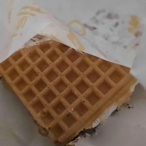 와플대학 사진