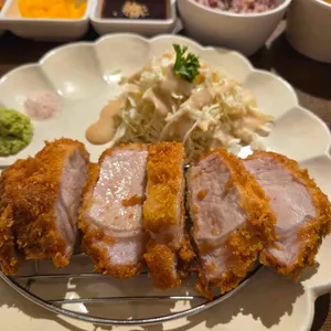 간코 사진