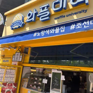 와플대학 사진