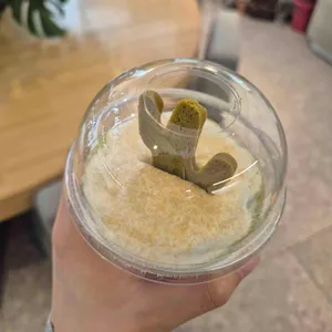 데일리 오아시스 대표 사진