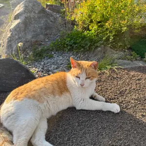 두포리매운탕 사진