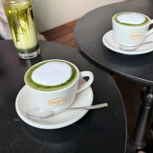 맥코이 대표 사진