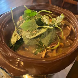 휴케라 대표 사진