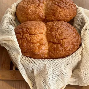 네살차이 대표 사진