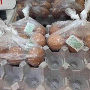 알프스카페 사진