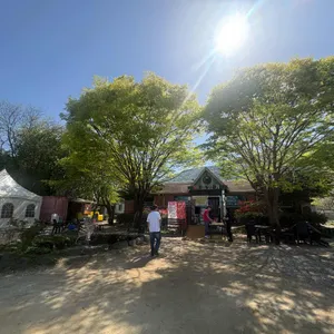 솔향기 대표 사진