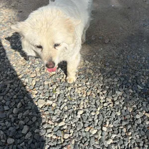 솔향기 리뷰 사진