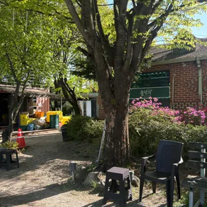 솔향기 리뷰 사진