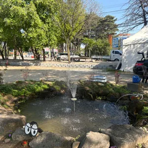 솔향기 리뷰 사진