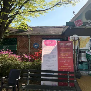 솔향기 리뷰 사진