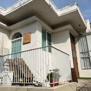 아코다 사진 1