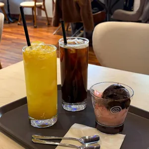팔롬비니 사진