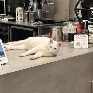 킷사앤사보 대표 사진