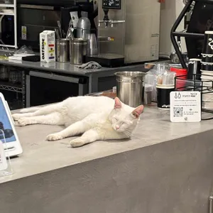 킷사앤사보 대표 사진